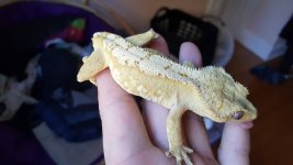 20161117_090746.jpg