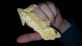 20161117_090658.jpg