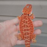 IMG_20161201_201002.jpg