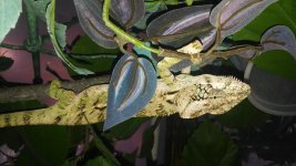 20161216_161645.jpg
