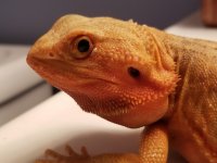 20170530_143336.jpg