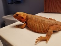 20170530_143331.jpg