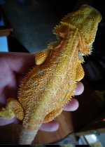 DSC01143.jpg