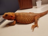 20170530_143325.jpg