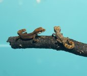 20170627_215609.jpg
