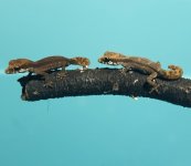 20170627_204426.jpg