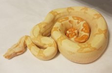 20170314_174449.jpg