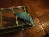 DSCF5350.JPG
