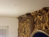 20161118_130717.jpg