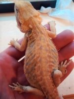 thumbnail_IMG_20161202_164628466.jpg