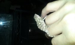 20170628_103924.jpg