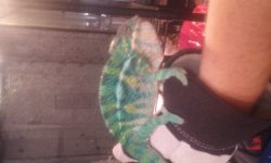 20170608_131721.jpg