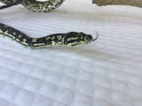 IMG_3295.jpg