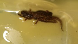 20170325_142241.jpg
