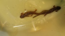 20170325_142225.jpg