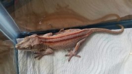 20170617_131324.jpg