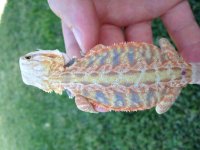 IMG_0343.jpg