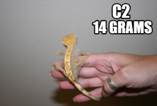 c2..png