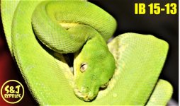 IMG_3103.JPG