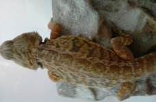 20160930_182355.jpg