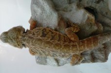 20160930_182350.jpg