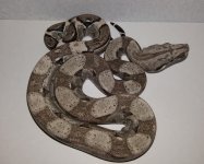 20170602_115239.jpg