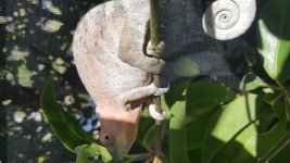 20170518_105428.jpg