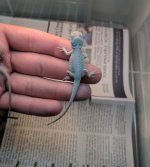 IMG_20170415_220843.jpg
