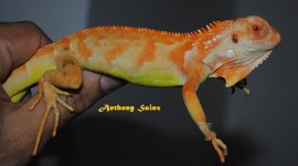 DSC_0377_zpsqsr2j2yv.jpg