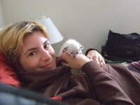 meanKitten10_12_08.JPG