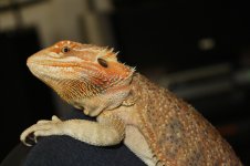 IMG_9463.jpg