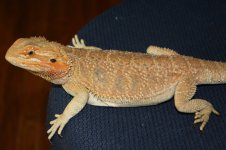 IMG_9467.jpg