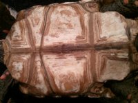 2011-01-05 18.36.37.jpg