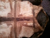 2011-01-05 18.36.46.jpg