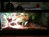 2011-01-05 18.58.50.jpg