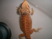 100_2081.jpg
