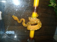 20170329_233229.jpg