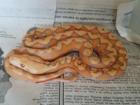 20170513_133411.jpg