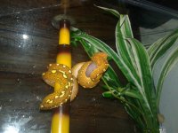 20170324_151836.jpg