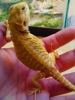 thumbnail_IMG_20161226_163202175.jpg