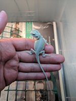 IMG_20170518_185608.jpg