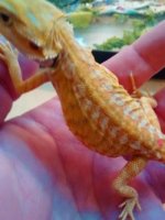 thumbnail_IMG_20161226_163219466.jpg