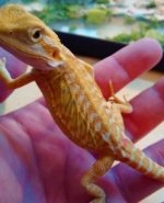 thumbnail_IMG_20161226_163239133.jpg