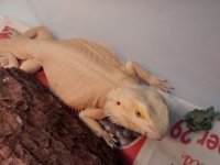 thumbnail_IMG_20161003_162017051.jpg