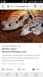 Screenshot_2017-03-16-15-21-28.jpg