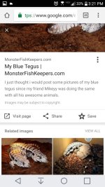 Screenshot_2017-03-16-15-21-47.jpg