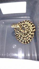 IMG_20170312_121837656.jpg