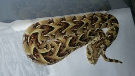 20170302_174159.jpg