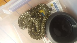 20170316_115058.jpg