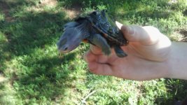 20170702_082105.jpg